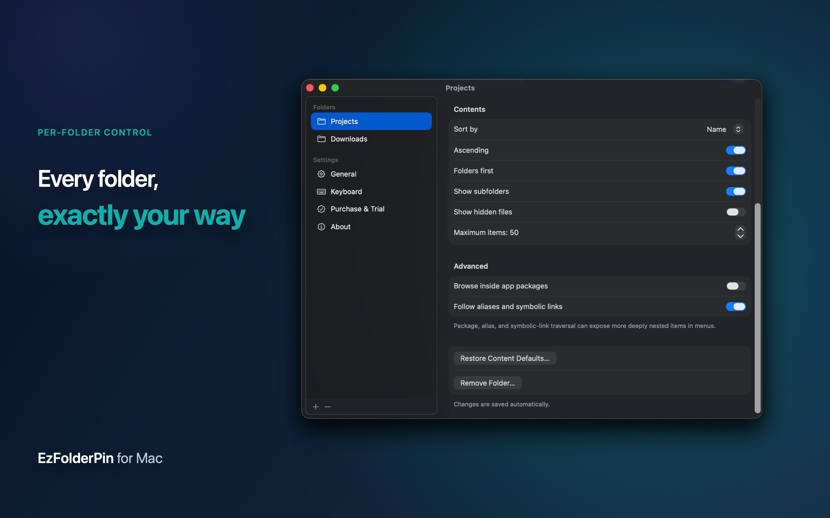 EzFolderPin per-folder display and browsing controls